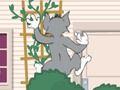 Cluiche Tom und Jerry: Wasserbomben Wahnsinn ar líne