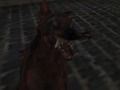 Cluiche Arm Zombie na Náisiúnach  ar líne