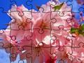 Cluiche Puzal Jigsaw: Bláthanna  ar líne