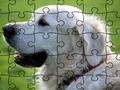 Cluiche Jigsaw Puzzle Ainmhithe Baile  ar líne