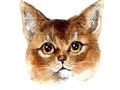 Cluiche Dúshlán Puzal Abyssinian  ar líne