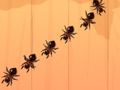 Cluiche Ant Smash ar líne
