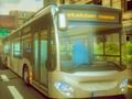 Cluiche Tiománaí Bus Bhaile  ar líne