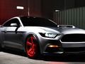 Cluiche Daily Mustang ar líne