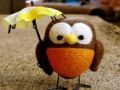 Cluiche Puzal Owl gleoite  ar líne