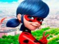 Cluiche Bailiúchán Puzal Jigsaw LadyBug  ar líne