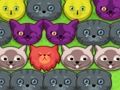 Cluiche Kitties pop-pop  ar líne