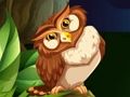 Cluiche Shooter Owl  ar líne