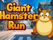 Cluiche Rith Giant Hamster  ar líne