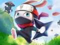 Cluiche Coinín Ninja  ar líne