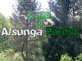 Cluiche Fill ar ais go Alsunga Forest  ar líne