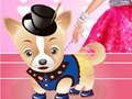 Cluiche Cluiche Barbie Dressup Madraí  ar líne