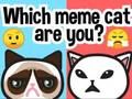 Cluiche Cén Cat Meme An bhfuil tú?  ar líne