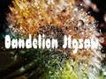 Cluiche Jigsaw Dandelion  ar líne