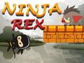 Cluiche Cluiche Ninja Rex  ar líne