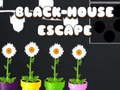 Cluiche Cluiche Líne Black House Escape  ar líne