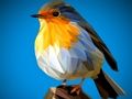 Cluiche Jigsaw Éin Poly  ar líne