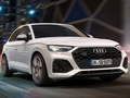 Cluiche Sleamhnán Audi SQ5 TDI  ar líne