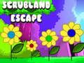 Cluiche Cluiche Líne Scrubland Escape  ar líne