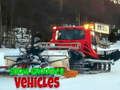 Cluiche Feithiclí Groomer Sneachta  ar líne