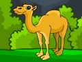 Cluiche Cluiche Tarrthála An Camel Ocrach  ar líne