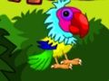 Cluiche Cluiche Líne Parrot Cúpla Escape 2  ar líne