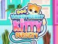 Cluiche Máinliacht Kitty Doc HoneyBerry  ar líne