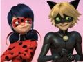 Cluiche Ladybug Miraculous & Puzal Jigsaw Cat Noir  ar líne