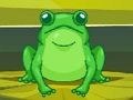 Cluiche Cluiche Frog Match Máistir  ar líne