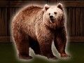 Cluiche Sábháil an Béar Grizzly  ar líne