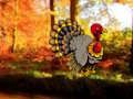 Cluiche Cluiche Thanksgiving Rince Tuirc Escape  ar líne