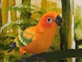 Cluiche Cluiche Líne Puzal Budgie gleoite  ar líne