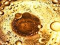 Cluiche Jigsaw Bubbles Ola  ar líne