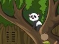 Cluiche Cluiche Líne Escape Jungle Panda  ar líne
