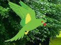 Cluiche Parrot Faigh an Nead  ar líne