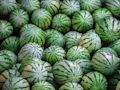 Cluiche Jigsaw watermelon  ar líne