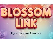 Cluiche Nasc Blossom  ar líne