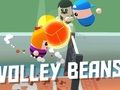 Cluiche PĂłnairĂ Volley ar lĂne Cluiche PĂłnairĂ Volley ar lĂne