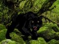Cluiche Cluiche Éalú ó Black Panther Foraoise  ar líne