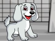 Cluiche Tarrtháil an puppy bán ón gcliabhán  ar líne
