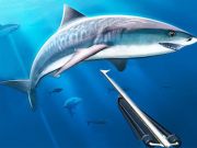 Cluiche Ag fiach spearfishing faoi uisce ar líne