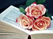 Cluiche Leabhar Blooms Jigsaw ar líne