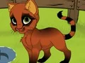 Cluiche My Kitten ar líne