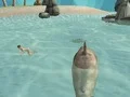 Cluiche Shark Simulator Beach Killer ar líne