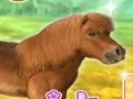 Cluiche My Dear Pony ar líne