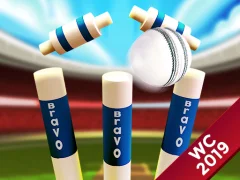Cluiche Mini Cricket: Ground Championship World Cup 2019 ar líne