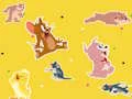 Cluiche The Tom and Jerry Show Find it! ar líne