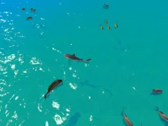 Cluiche Hungry Shark Hunt ar líne