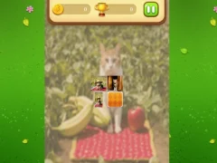 Cluiche Farm Cat Memory Match ar líne