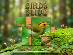 Cluiche Birds Slide ar líne